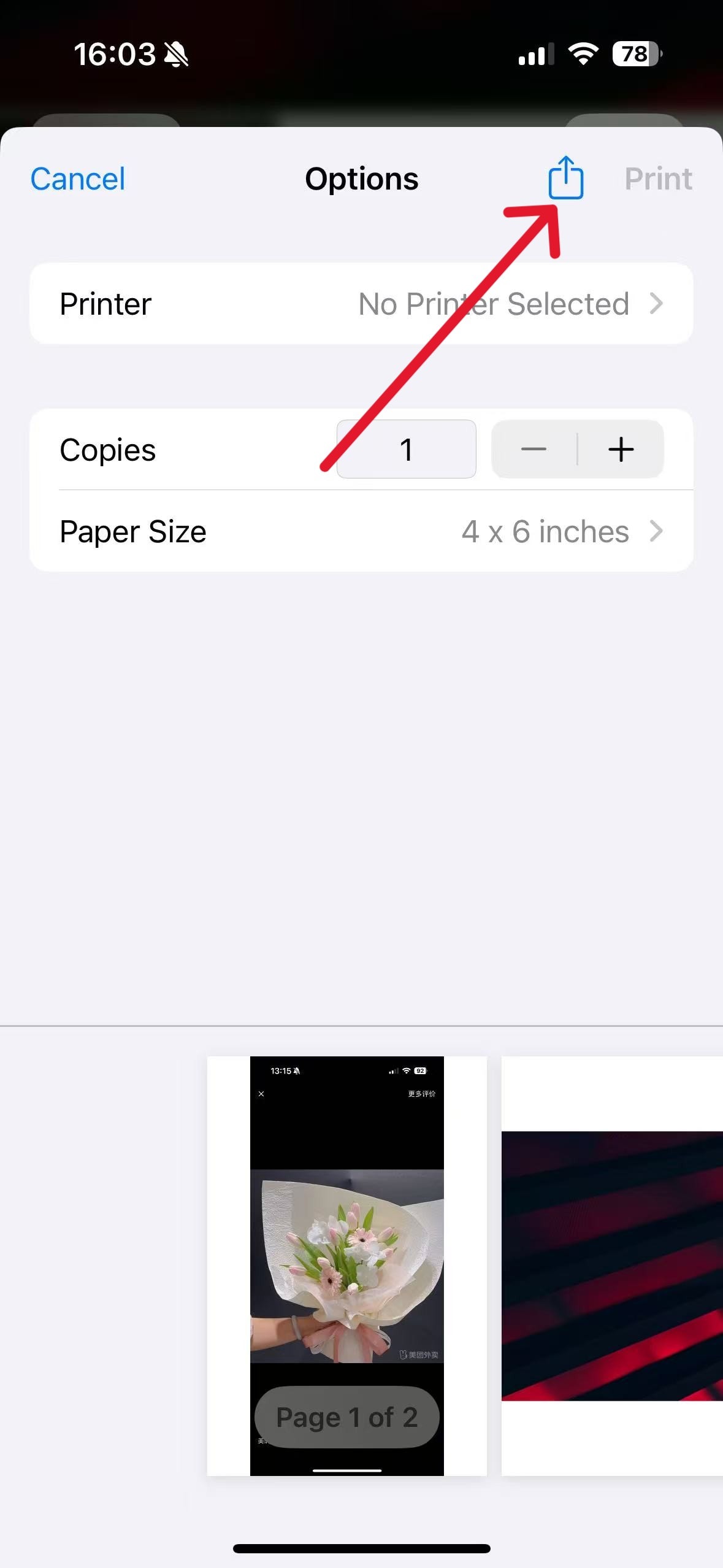 Generieren eines PDFs in der iPhone-Druckvorschau und Vorbereitung zum Teilen